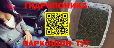 стафф Абакан