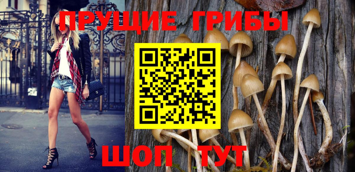 Алексеевка  Псилоцибиновые грибы Magic Shrooms  купить наркотик  Вход с VPN 